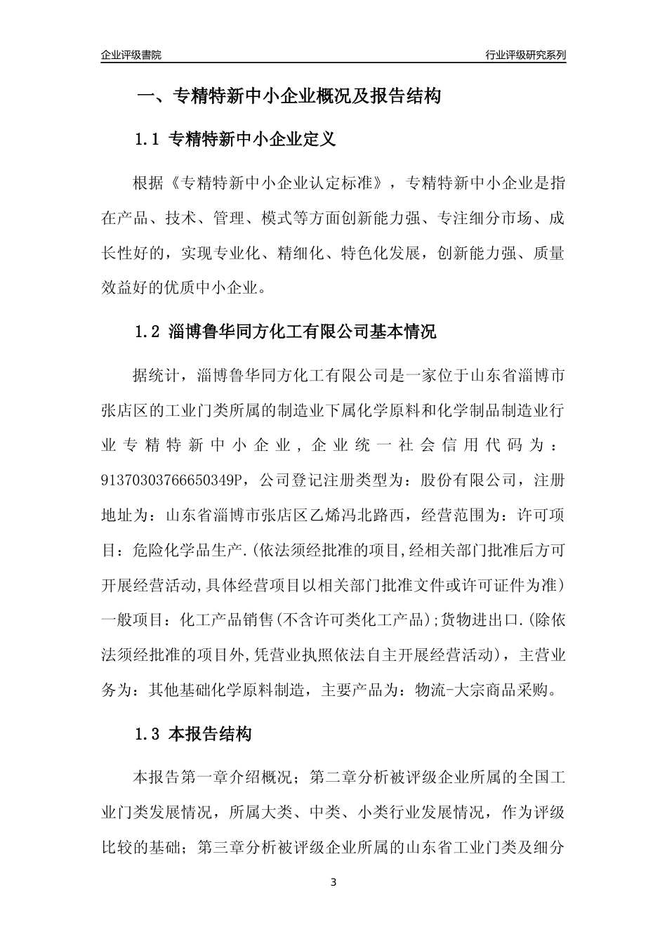 [专精特新]淄博鲁华同方化工有限公司行业竞争力评级分析报告(2023版)_第3页