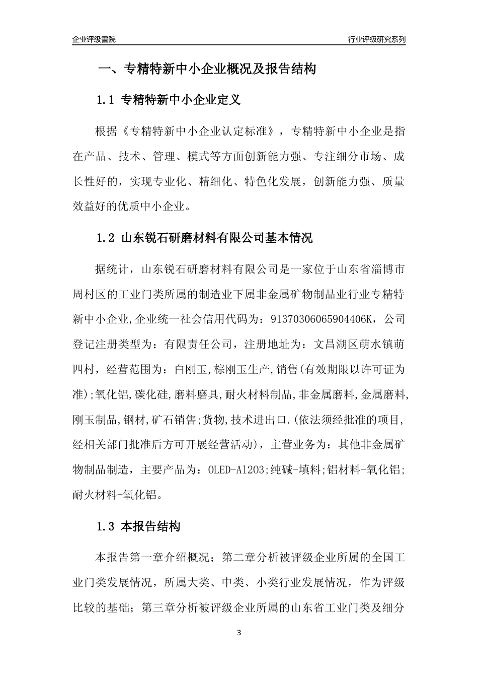 [专精特新]山东锐石研磨材料有限公司行业竞争力评级分析报告(2023版)_第3页