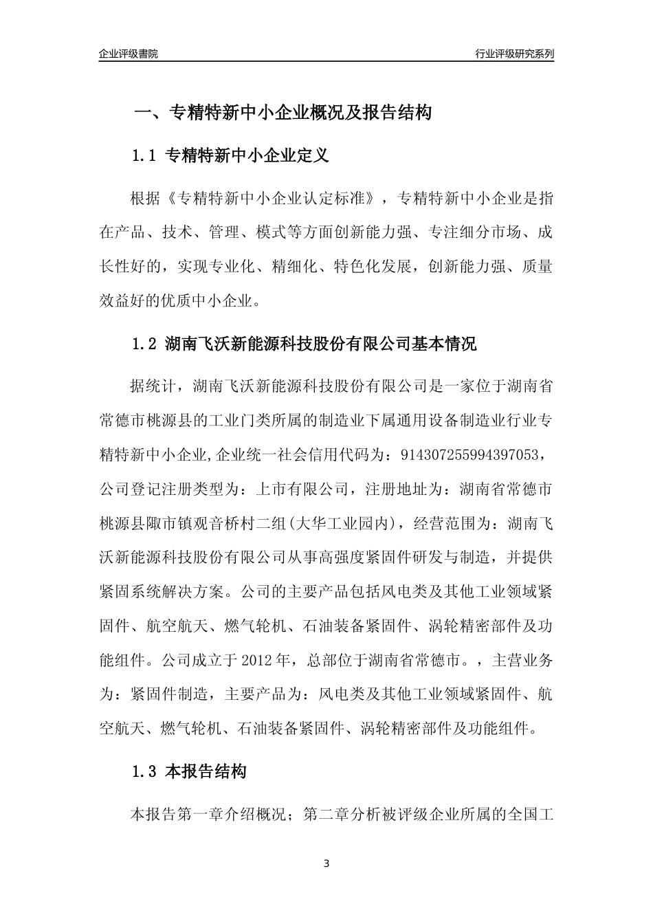 [专精特新]湖南飞沃新能源科技股份有限公司行业竞争力评级分析报告(2023版)_第3页