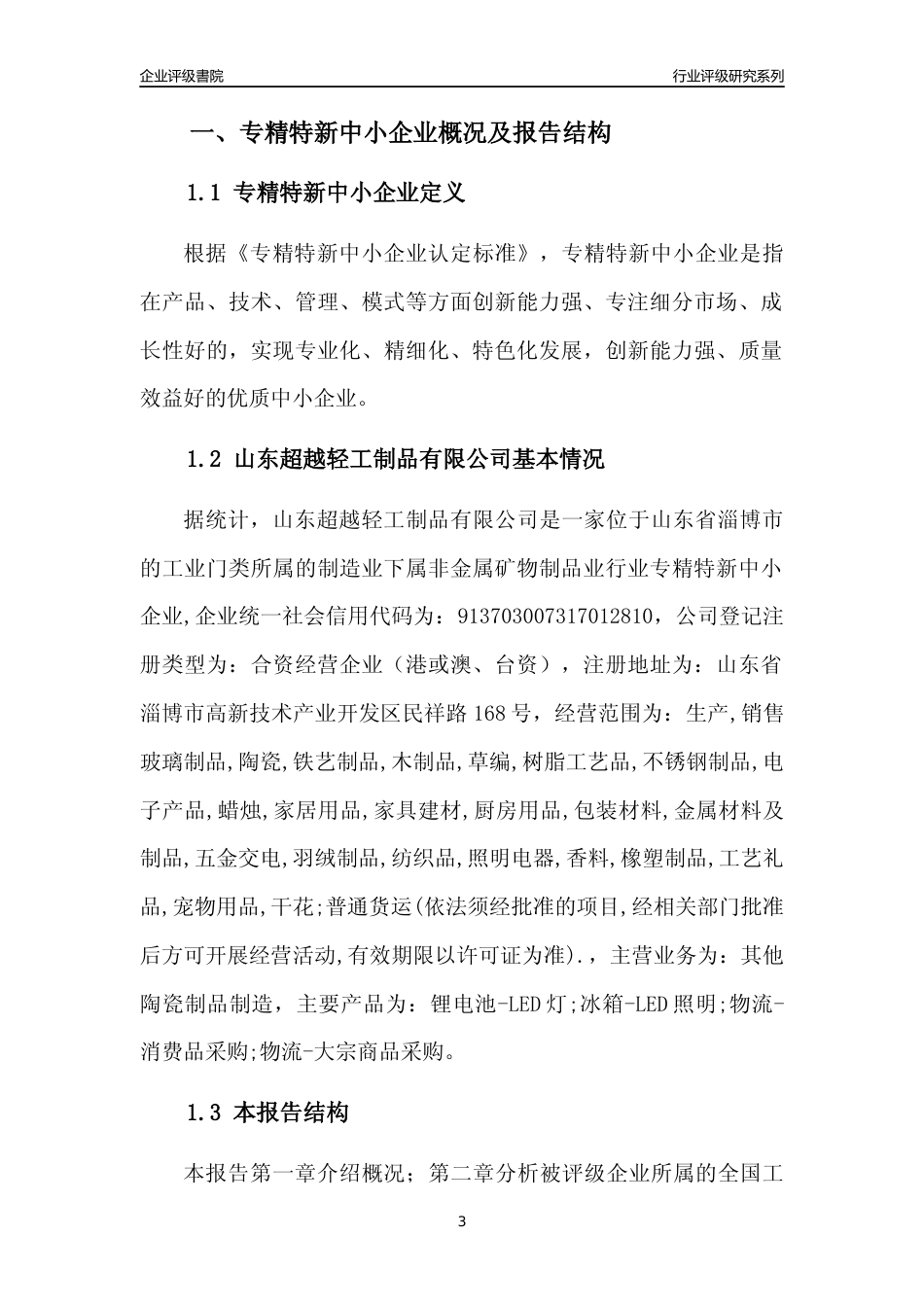 [专精特新]山东超越轻工制品有限公司行业竞争力评级分析报告(2023版)_第3页