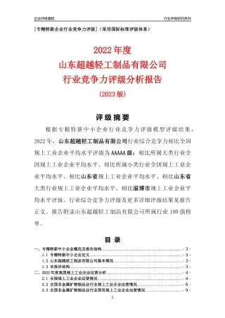 [专精特新]山东超越轻工制品有限公司行业竞争力评级分析报告(2023版)
