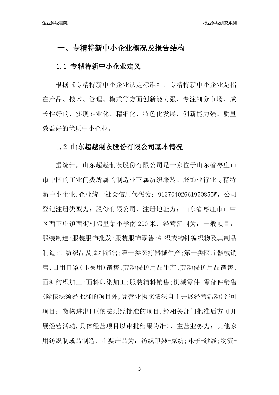 [专精特新]山东超越制衣股份有限公司行业竞争力评级分析报告(2023版)_第3页