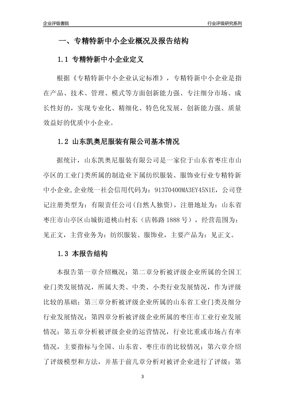 [专精特新]山东凯奥尼服装有限公司行业竞争力评级分析报告(2023版)_第3页