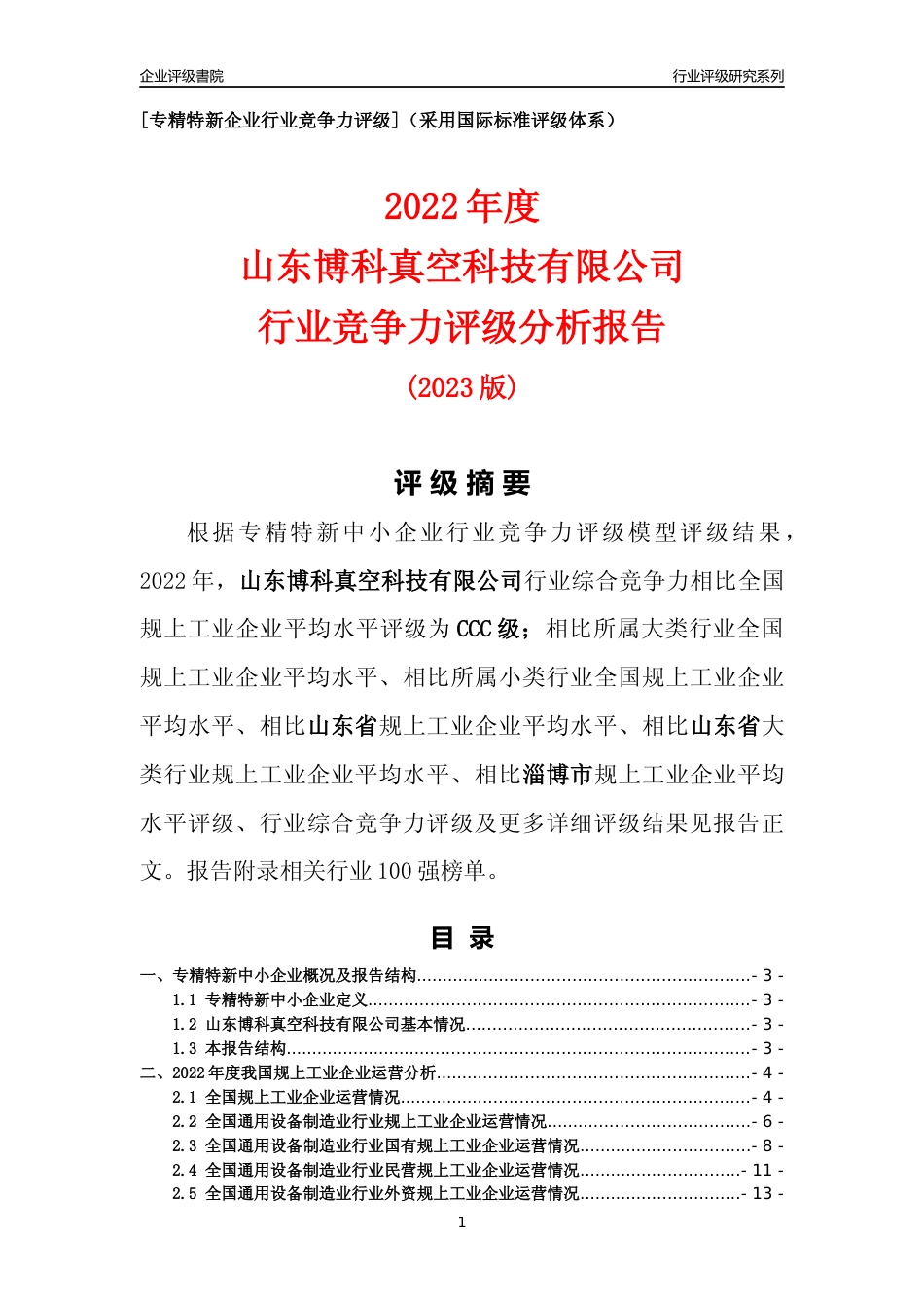 [专精特新]山东博科真空科技有限公司行业竞争力评级分析报告(2023版)_第1页