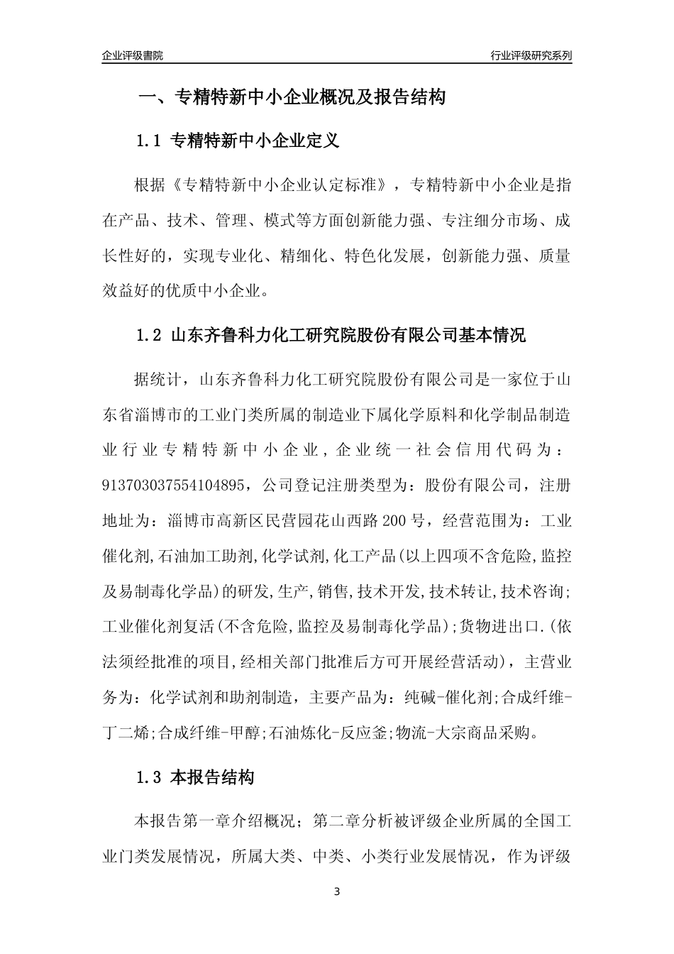 [专精特新]山东齐鲁科力化工研究院股份有限公司行业竞争力评级分析报告(2023版)_第3页
