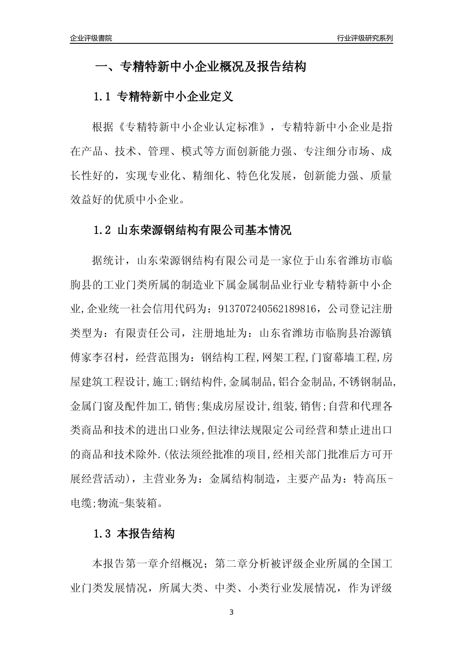 [专精特新]山东荣源钢结构有限公司行业竞争力评级分析报告(2023版).docx_第3页