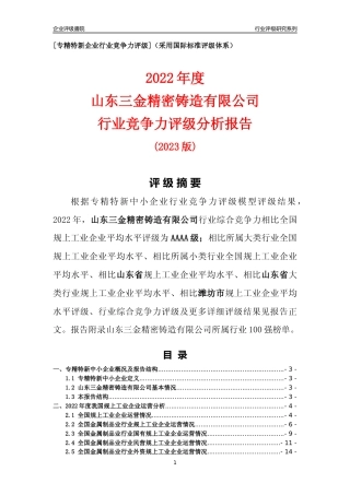[专精特新]山东三金精密铸造有限公司行业竞争力评级分析报告(2023版).docx
