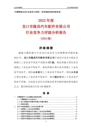 [专精特新]龙口市隆昌汽车配件有限公司行业竞争力评级分析报告(2023版).docx