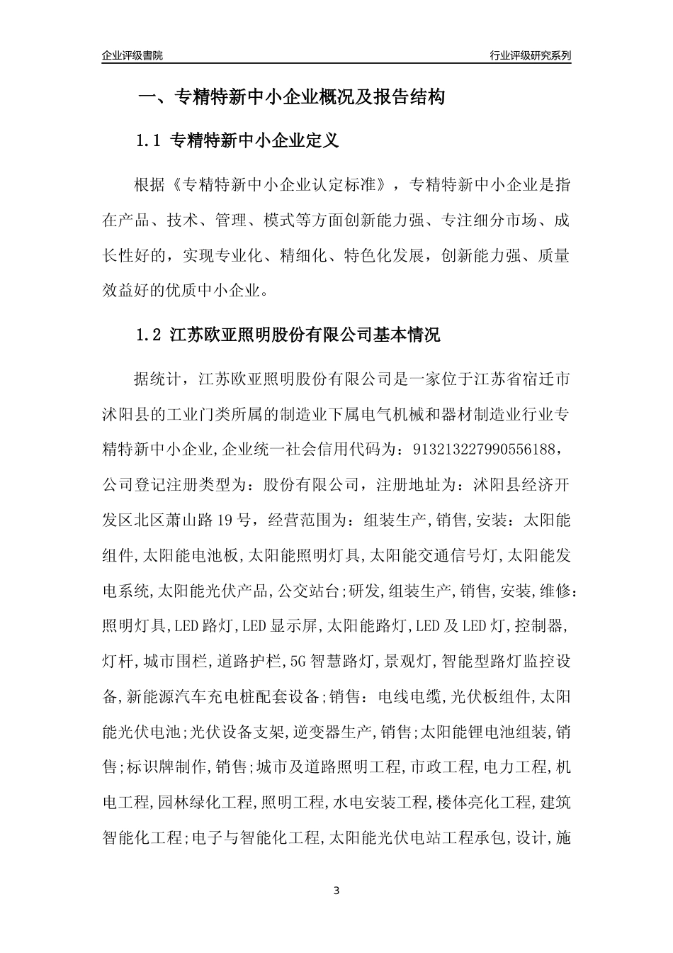 [专精特新]江苏欧亚照明股份有限公司行业竞争力评级分析报告(2023版).docx_第3页