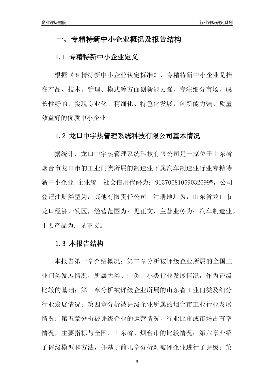 [专精特新]龙口中宇热管理系统科技有限公司行业竞争力评级分析报告(2023版).docx_第3页