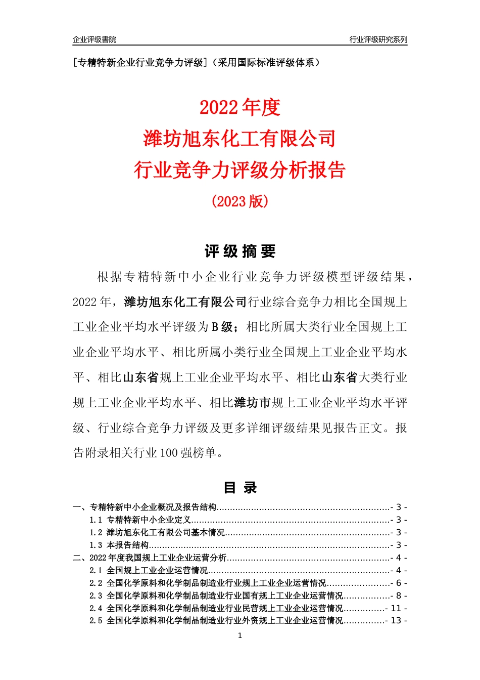[专精特新]潍坊旭东化工有限公司行业竞争力评级分析报告(2023版).docx_第1页