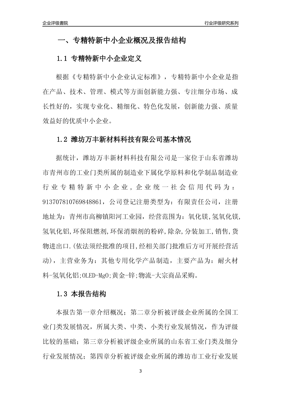 [专精特新]潍坊万丰新材料科技有限公司行业竞争力评级分析报告(2023版).docx_第3页