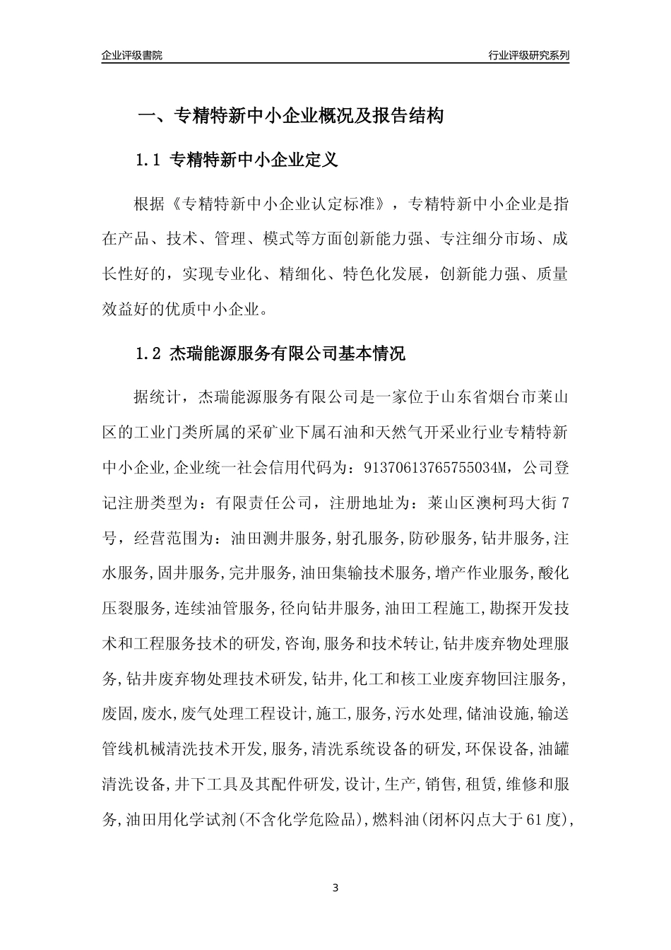 [专精特新]杰瑞能源服务有限公司行业竞争力评级分析报告(2023版).docx_第3页