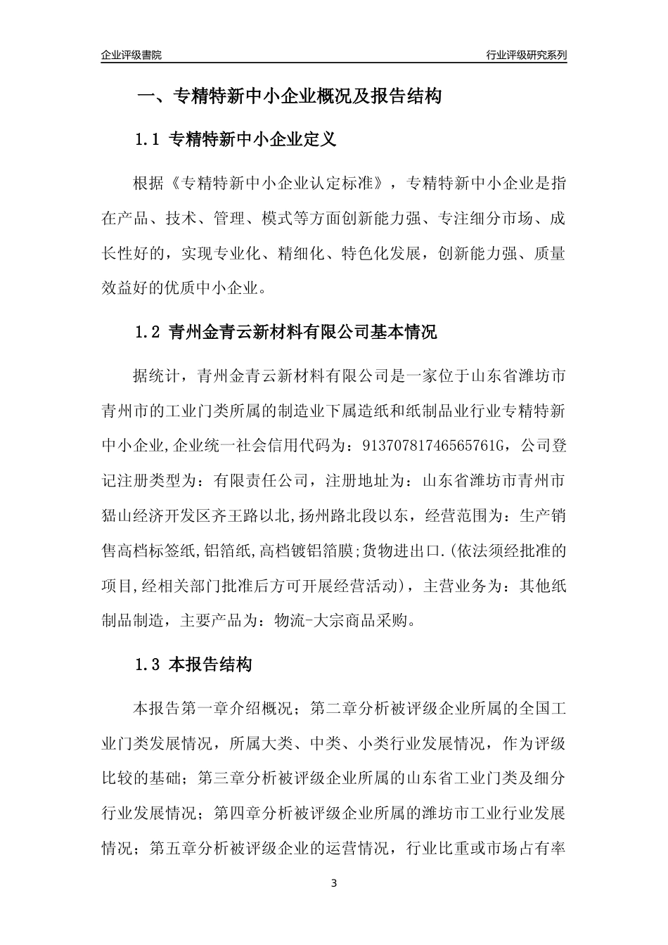 [专精特新]青州金青云新材料有限公司行业竞争力评级分析报告(2023版).docx_第3页