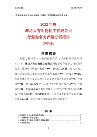 [专精特新]潍坊大有生物化工有限公司行业竞争力评级分析报告(2023版).docx
