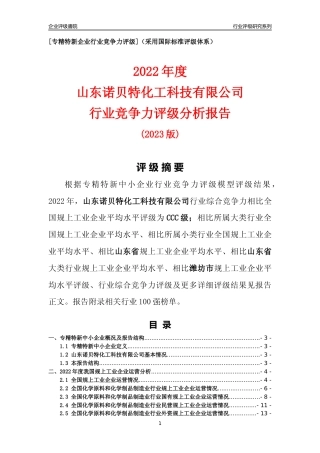 [专精特新]山东诺贝特化工科技有限公司行业竞争力评级分析报告(2023版).docx