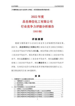 [专精特新]昌邑荣信化工有限公司行业竞争力评级分析报告(2023版).docx
