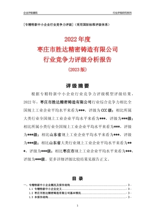 [专精特新]枣庄市胜达精密铸造有限公司行业竞争力评级分析报告(2023版).docx