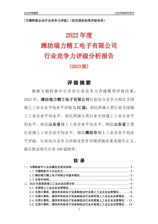 [专精特新]潍坊瑞力精工电子有限公司行业竞争力评级分析报告(2023版).docx