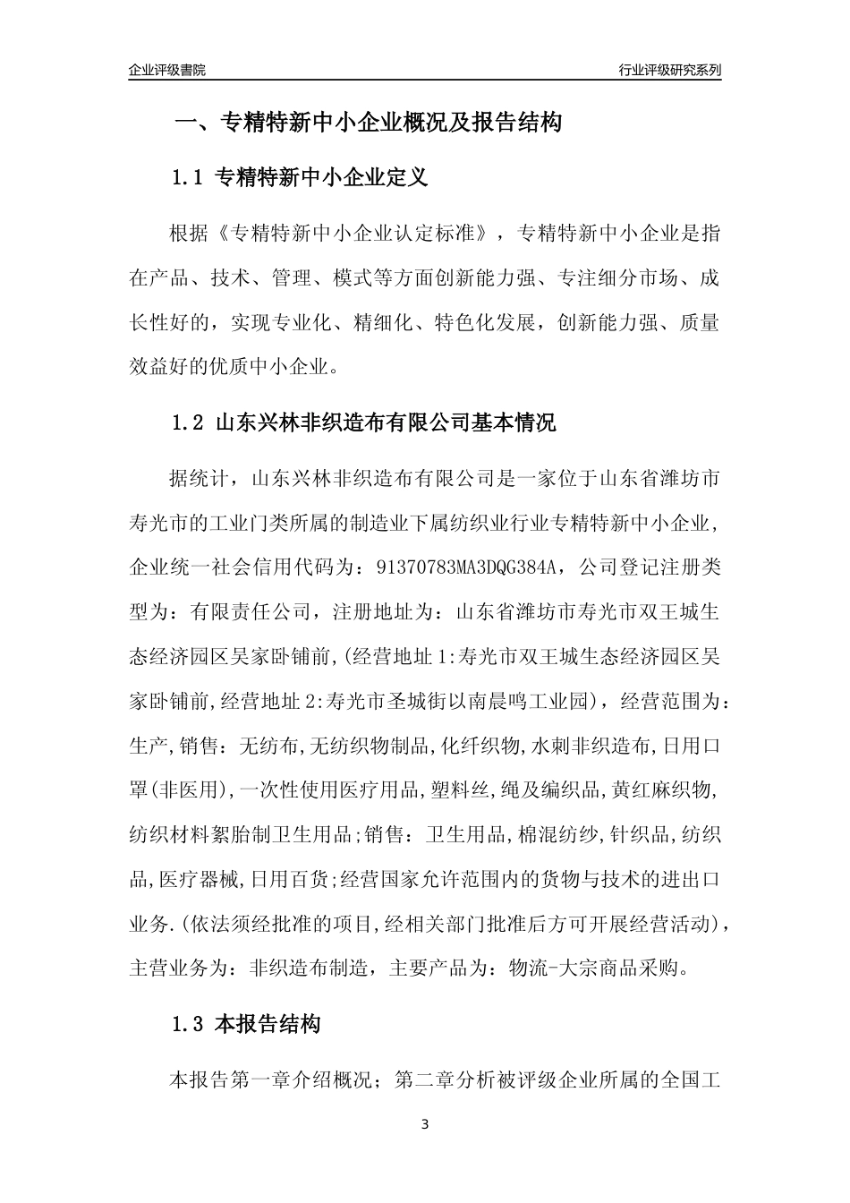 [专精特新]山东兴林非织造布有限公司行业竞争力评级分析报告(2023版).docx_第3页