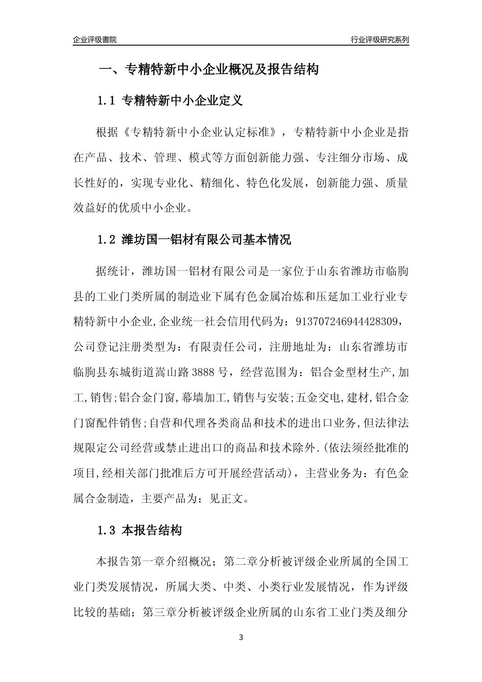 [专精特新]潍坊国一铝材有限公司行业竞争力评级分析报告(2023版).docx_第3页