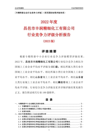 [专精特新]昌邑市丰润精细化工有限公司行业竞争力评级分析报告(2023版).docx