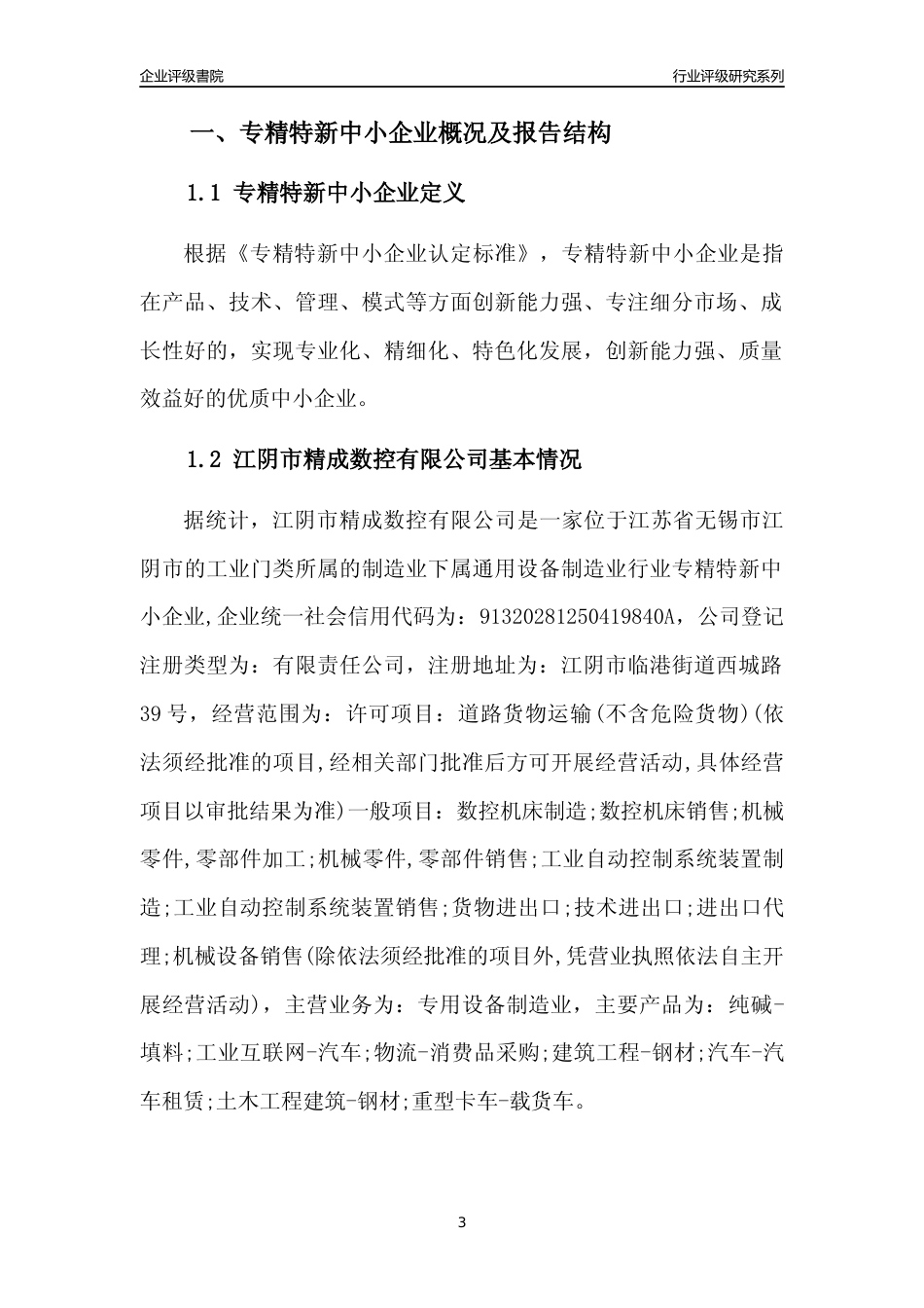 [专精特新]江阴市精成数控有限公司行业竞争力评级分析报告(2023版).docx_第3页