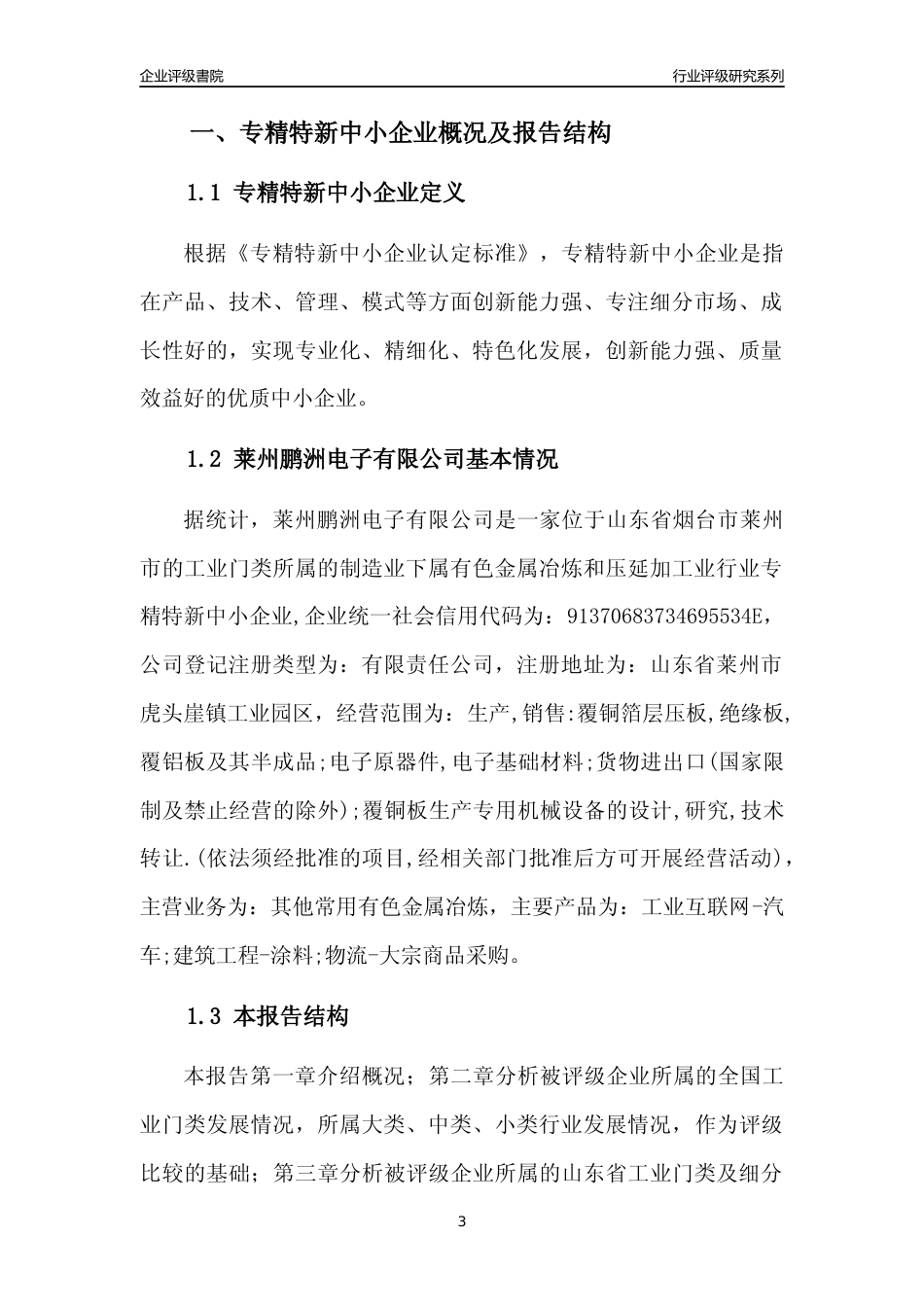 [专精特新]莱州鹏洲电子有限公司行业竞争力评级分析报告(2023版).docx_第3页