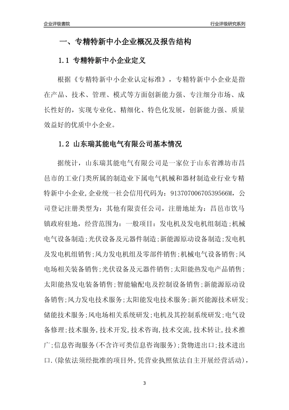 [专精特新]山东瑞其能电气有限公司行业竞争力评级分析报告(2023版).docx_第3页