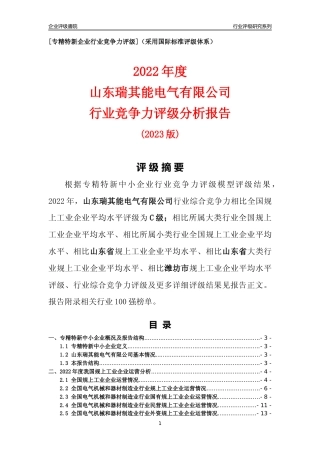 [专精特新]山东瑞其能电气有限公司行业竞争力评级分析报告(2023版).docx