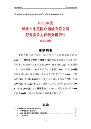 [专精特新]潍坊市华星医疗器械有限公司行业竞争力评级分析报告(2023版).docx