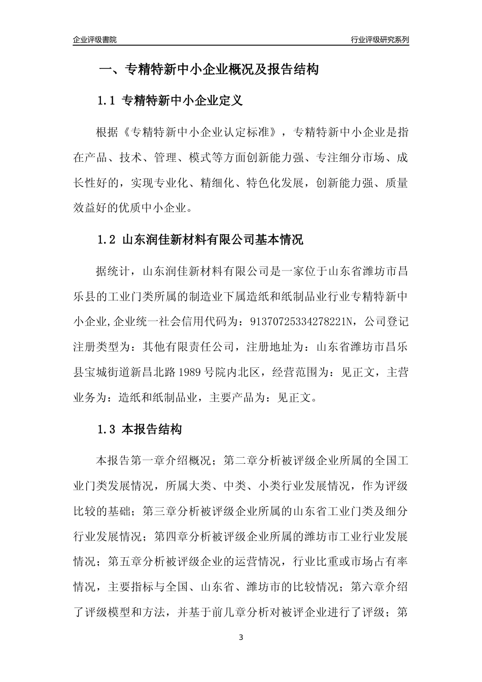 [专精特新]山东润佳新材料有限公司行业竞争力评级分析报告(2023版).docx_第3页