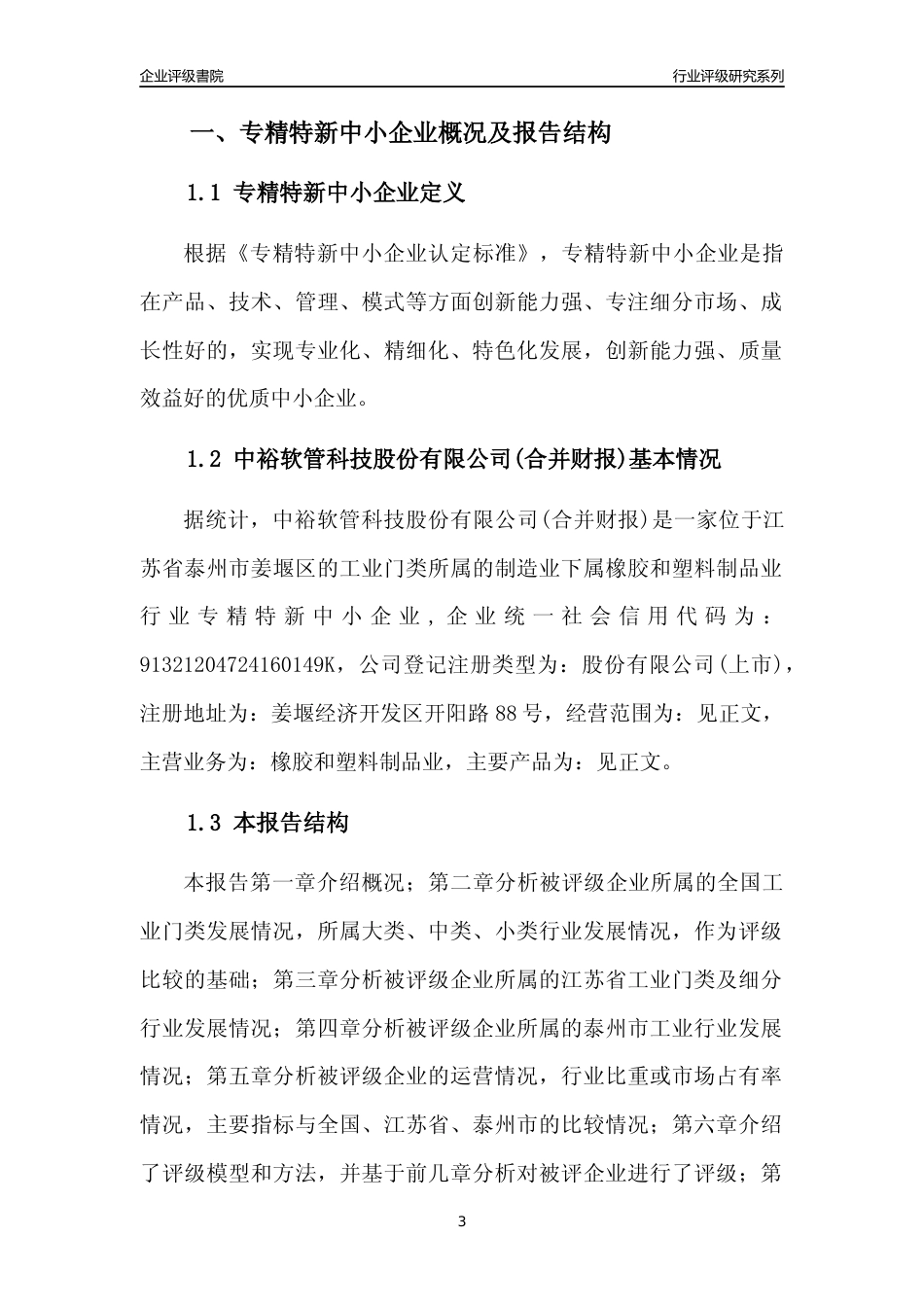 [专精特新]中裕软管科技股份有限公司(合并财报)行业竞争力评级分析报告(2023版).docx_第3页