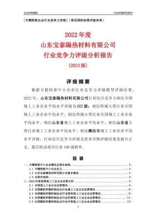 [专精特新]山东宝泰隔热材料有限公司行业竞争力评级分析报告(2023版).docx