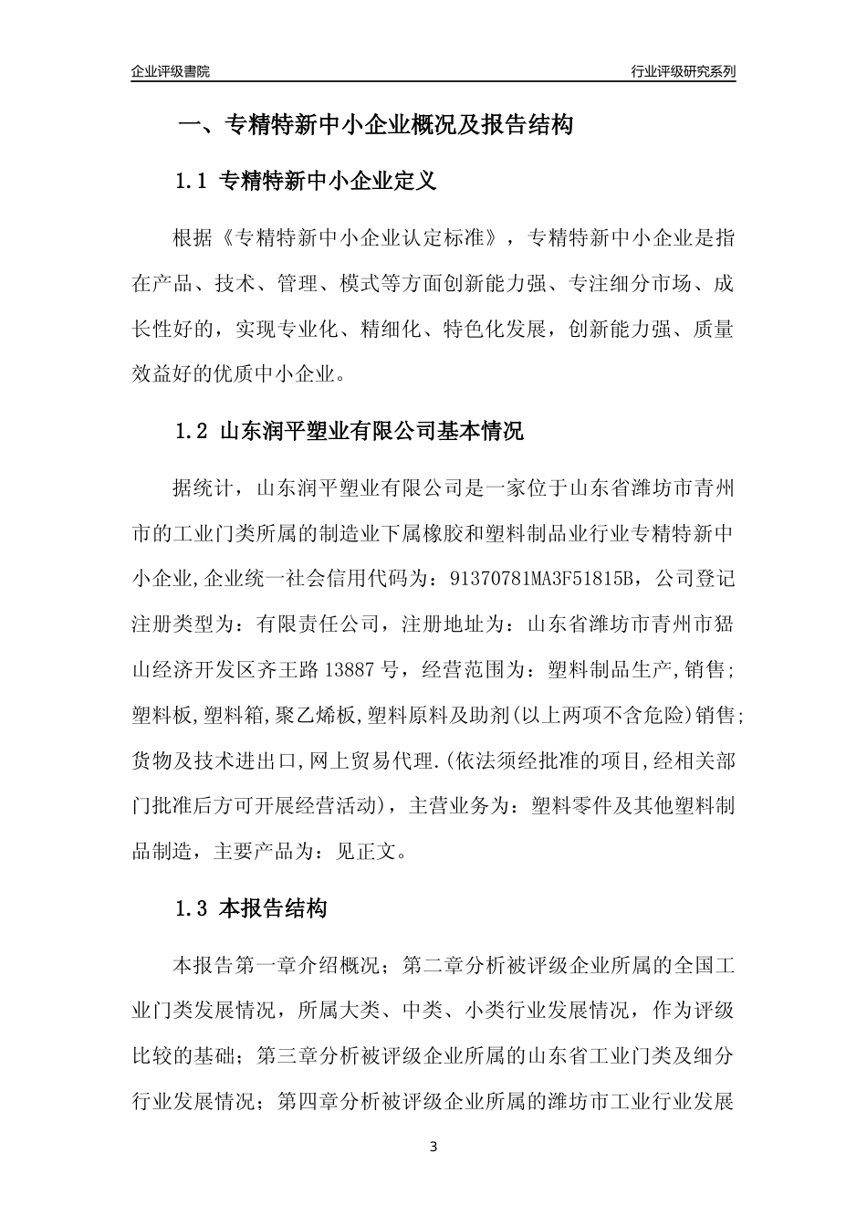 [专精特新]山东润平塑业有限公司行业竞争力评级分析报告(2023版).docx_第3页