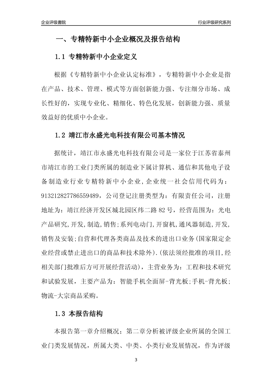 [专精特新]靖江市永盛光电科技有限公司行业竞争力评级分析报告(2023版).docx_第3页