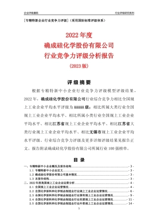[专精特新]确成硅化学股份有限公司行业竞争力评级分析报告(2023版).docx
