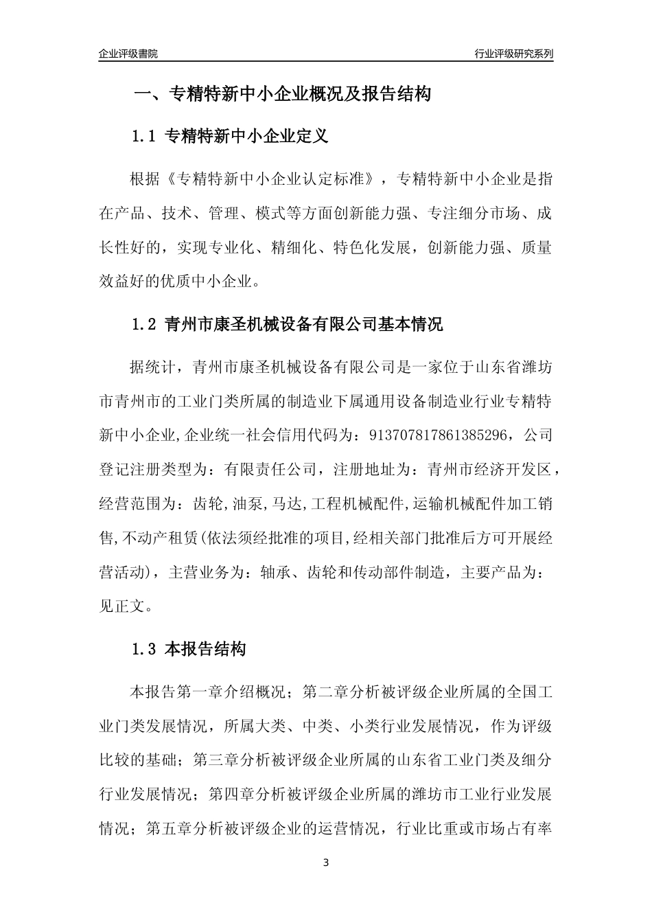 [专精特新]青州市康圣机械设备有限公司行业竞争力评级分析报告(2023版).docx_第3页