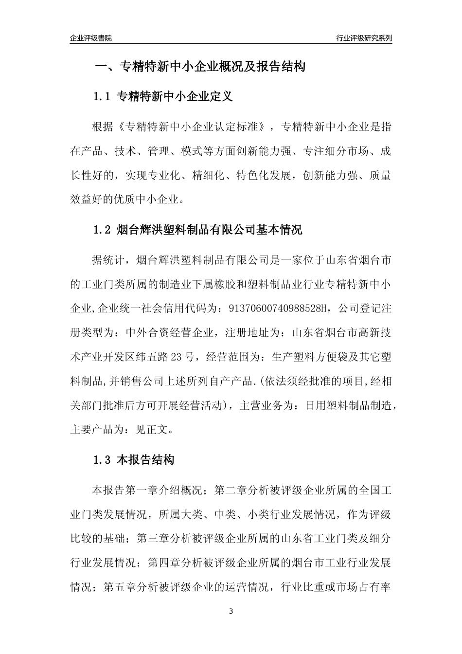 [专精特新]烟台辉洪塑料制品有限公司行业竞争力评级分析报告(2023版).docx_第3页