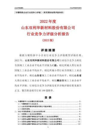[专精特新]山东双利华新材料股份有限公司行业竞争力评级分析报告(2023版).docx