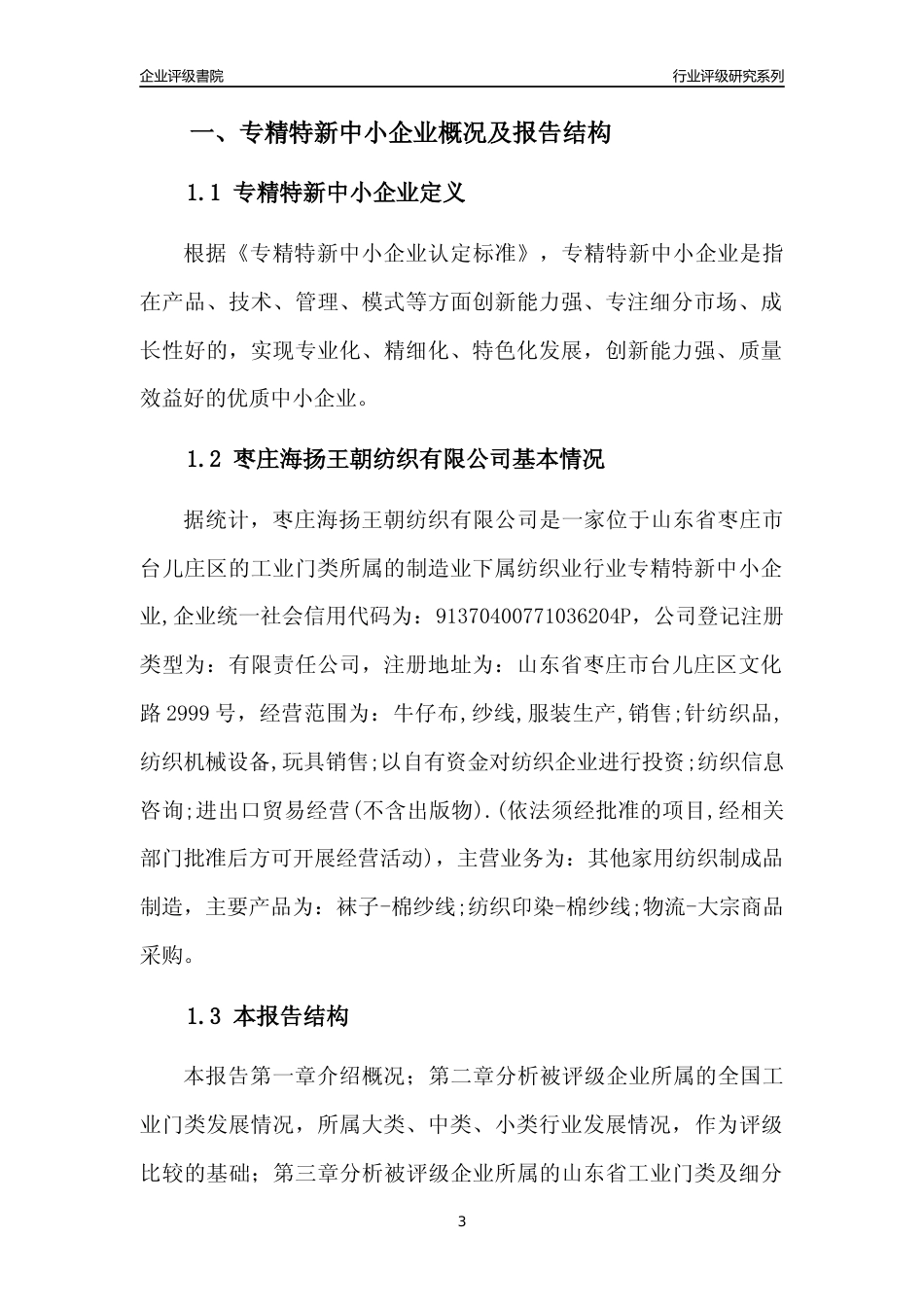 [专精特新]枣庄海扬王朝纺织有限公司行业竞争力评级分析报告(2023版).docx_第3页
