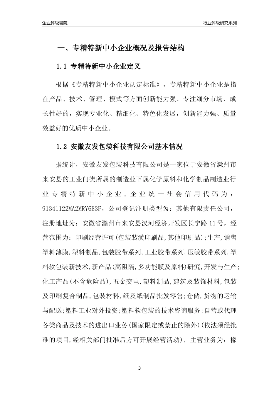 [专精特新]安徽友发包装科技有限公司行业竞争力评级分析报告(2023版).docx_第3页