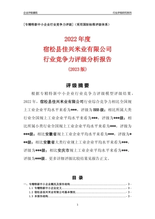 [专精特新]宿松县佳兴米业有限公司行业竞争力评级分析报告(2023版).docx