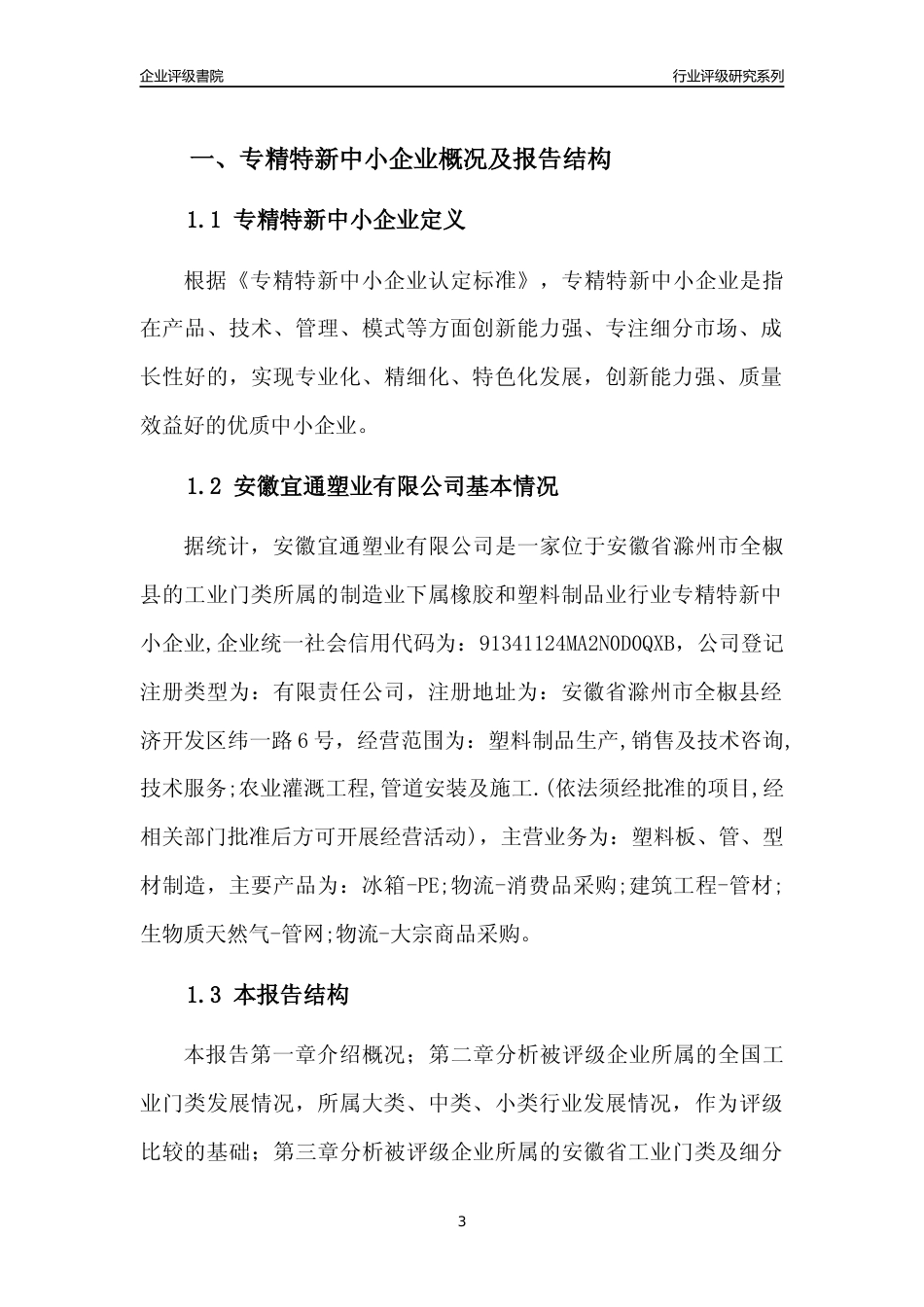 [专精特新]安徽宜通塑业有限公司行业竞争力评级分析报告(2023版).docx_第3页