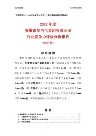 [专精特新]安徽德尔电气集团有限公司行业竞争力评级分析报告(2023版).docx
