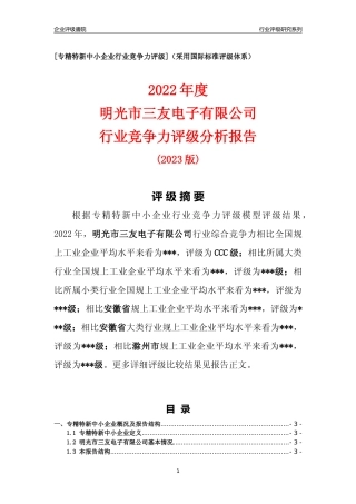 [专精特新]明光市三友电子有限公司行业竞争力评级分析报告(2023版).docx