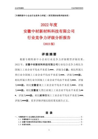 [专精特新]安徽中材新材料科技有限公司行业竞争力评级分析报告(2023版).docx