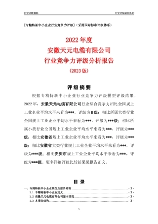 [专精特新]安徽天元电缆有限公司行业竞争力评级分析报告(2023版).docx