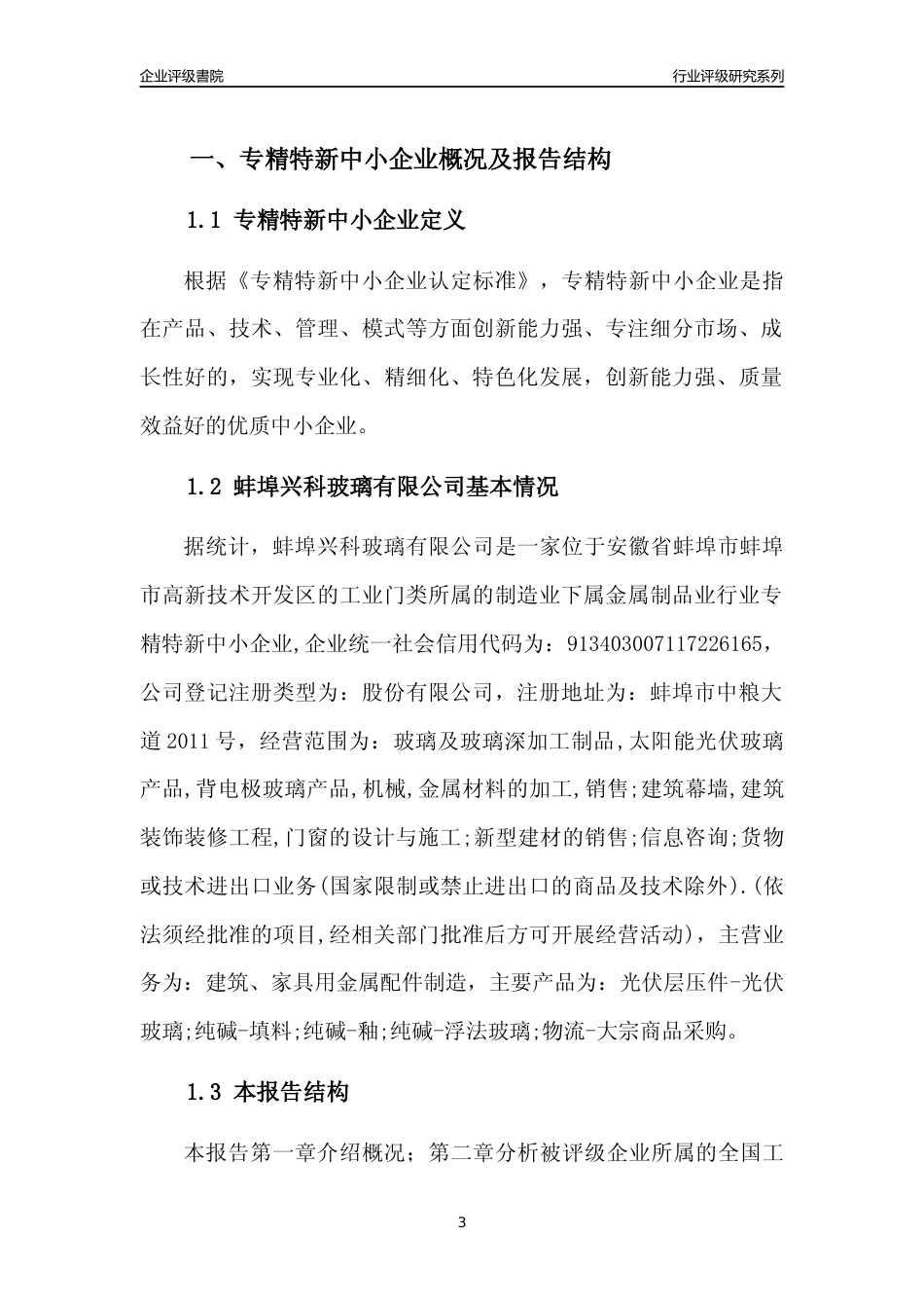 [专精特新]蚌埠兴科玻璃有限公司行业竞争力评级分析报告(2023版).docx_第3页