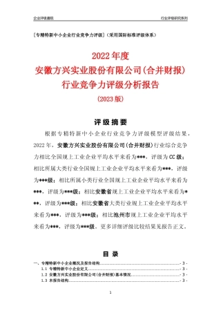 [专精特新]安徽方兴实业股份有限公司(合并财报)行业竞争力评级分析报告(2023版).docx